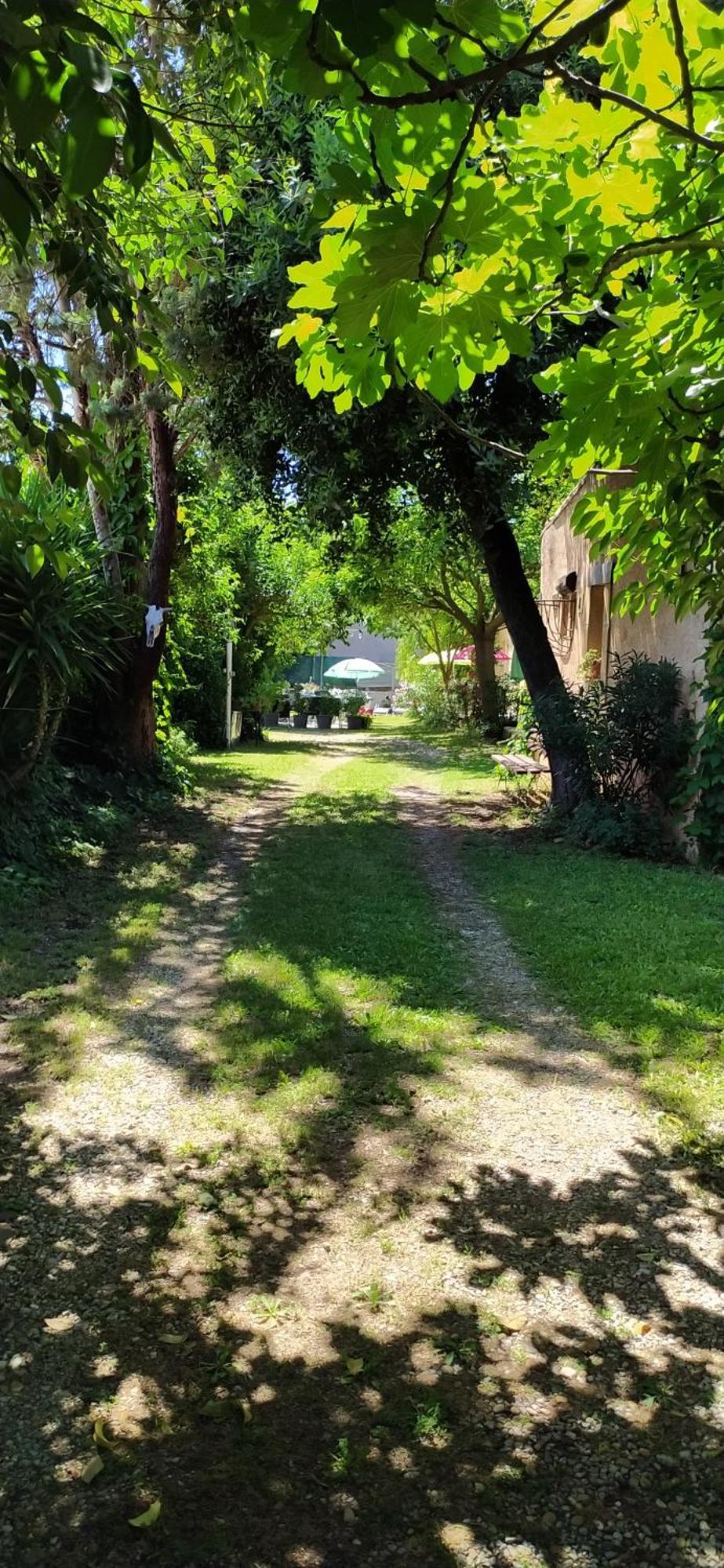 Abrivado Aimargues En Petite Camargue Διαμέρισμα Εξωτερικό φωτογραφία